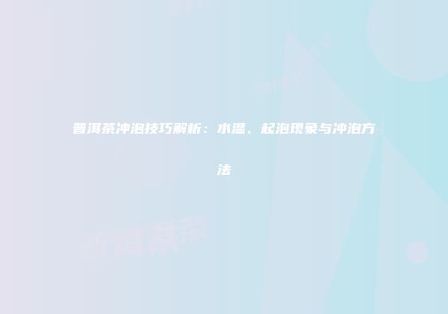 普洱茶冲泡技巧解析：水温、起泡现象与冲泡方法