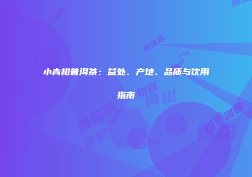 小青柑普洱茶：益处、产地、品质与饮用指南