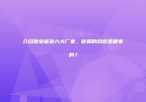 介绍雅安藏茶六大厂家，你喝的到底是哪家的？