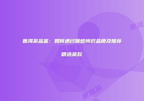 普洱茶品鉴：如何通过喉感辨识品质及推荐精选茶款