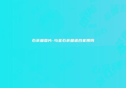 石茶盘图片-乌金石茶盘适合家用吗