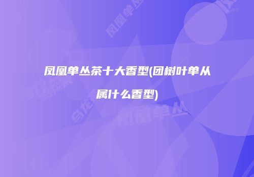 凤凰单丛茶十大香型(团树叶单从属什么香型)