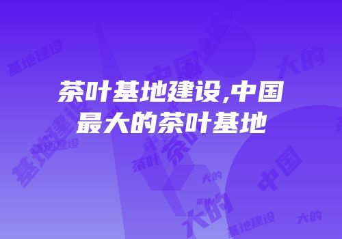 茶叶基地建设,中国最大的茶叶基地