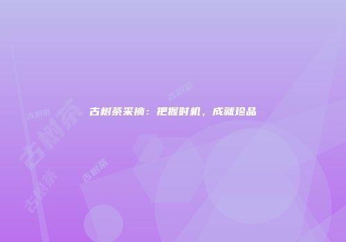 古树茶采摘：把握时机，成就珍品