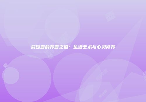 紫砂壶的养壶之道：生活艺术与心灵修养