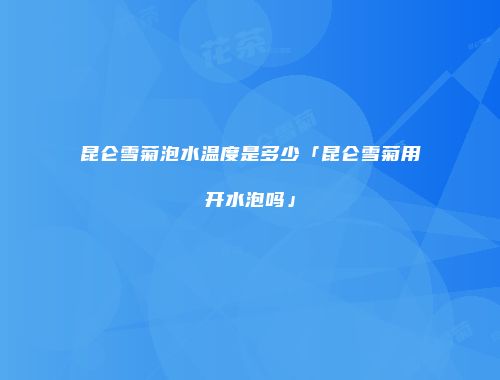 昆仑雪菊泡水温度是多少「昆仑雪菊用开水泡吗」