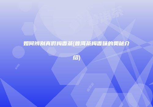 如何辨别真假梅香茶(普洱茶梅香味的奥秘介绍)