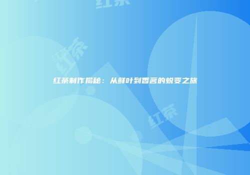 红茶制作揭秘：从鲜叶到香茗的蜕变之旅