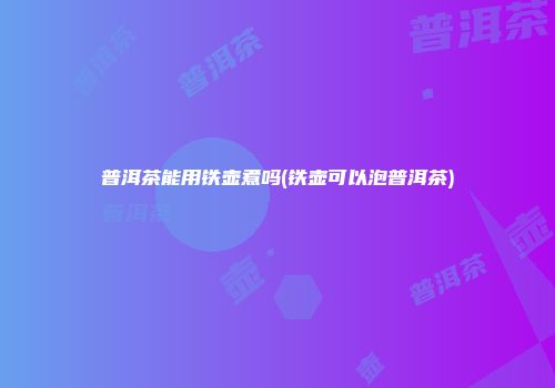 普洱茶能用铁壶煮吗(铁壶可以泡普洱茶)