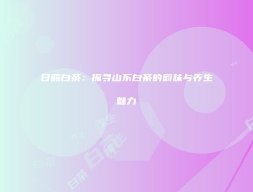 日照白茶：探寻山东白茶的韵味与养生魅力
