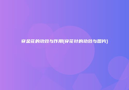 穿金花的功效与作用(穿花针的功效与图片)