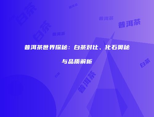 普洱茶世界探秘：白茶对比、化石奥秘与品质解析
