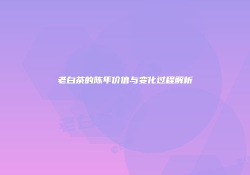 老白茶的陈年价值与变化过程解析