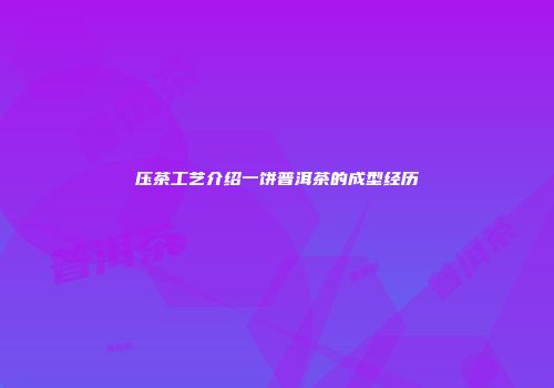 压茶工艺介绍一饼普洱茶的成型经历