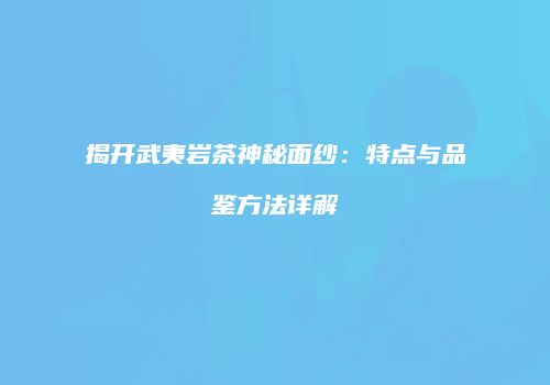 揭开武夷岩茶神秘面纱：特点与品鉴方法详解