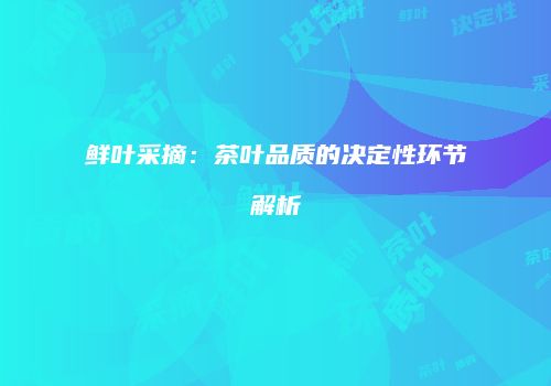 鲜叶采摘：茶叶品质的决定性环节解析