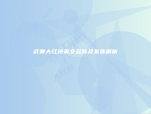 武夷大红袍英文名称及发音解析