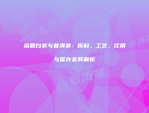 福鼎白茶与普洱茶：原料、工艺、饮用与保存差异解析