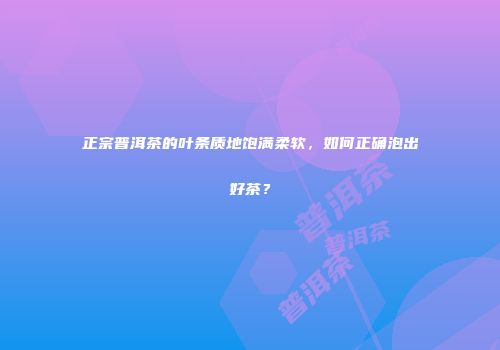 正宗普洱茶的叶条质地饱满柔软，如何正确泡出好茶？