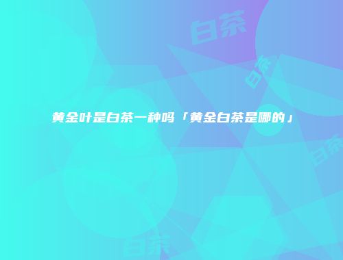 黄金叶是白茶一种吗「黄金白茶是哪的」