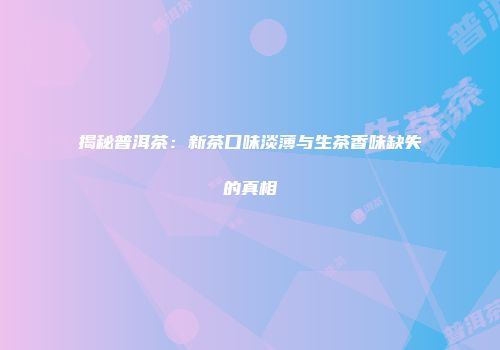 揭秘普洱茶：新茶口味淡薄与生茶香味缺失的真相