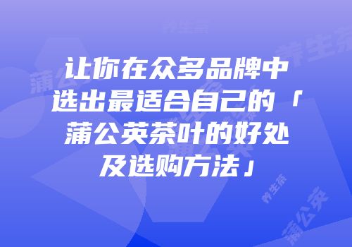 让你在众多品牌中选出最适合自己的「蒲公英茶叶的好处及选购方法」