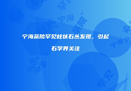 宁海茶院罕见柱状石丛发现，引起石学界关注