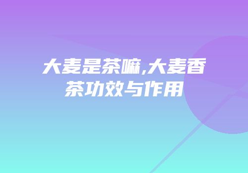 大麦是茶嘛,大麦香茶功效与作用
