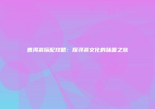 普洱茶搭配攻略：探寻茶文化的味蕾之旅