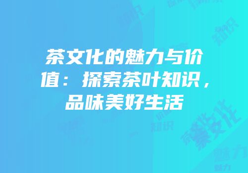 茶文化的魅力与价值：探索茶叶知识，品味美好生活