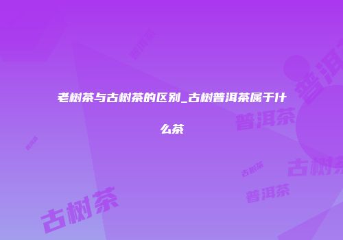 老树茶与古树茶的区别_古树普洱茶属于什么茶