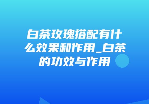 白茶玫瑰搭配有什么效果和作用_白茶的功效与作用