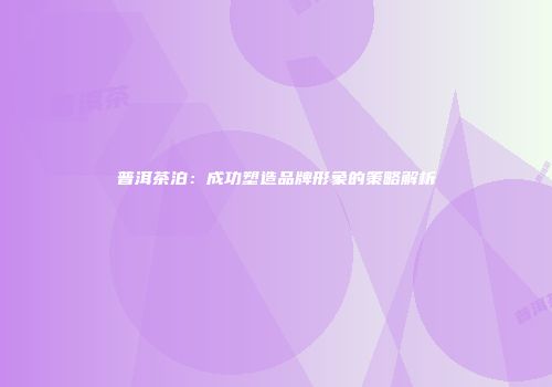 普洱茶泊：成功塑造品牌形象的策略解析