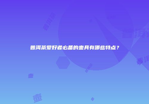 普洱茶爱好者必备的壶具有哪些特点？