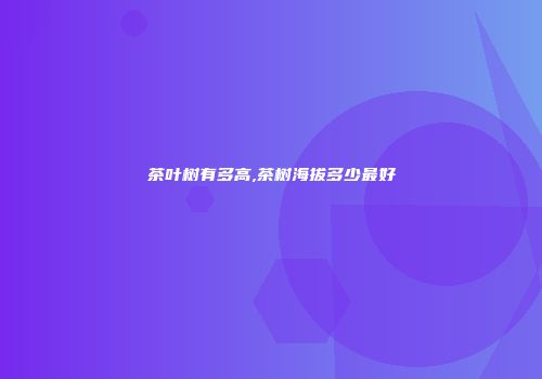 茶叶树有多高,茶树海拔多少最好