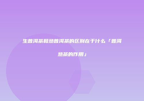 生普洱茶和熟普洱茶的区别在于什么「普洱熟茶的作用」