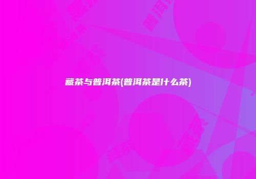 藏茶与普洱茶(普洱茶是什么茶)