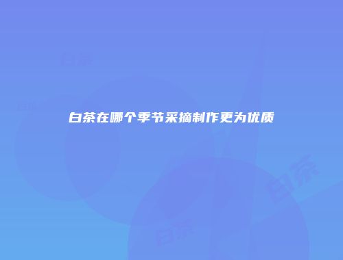 白茶在哪个季节采摘制作更为优质