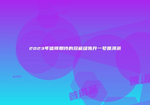 2023年值得期待的珍藏级陈升一号普洱茶
