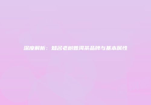 深度解析：知名老树普洱茶品牌与基本属性