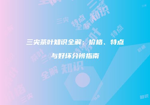 三尖茶叶知识全解：价格、特点与好坏分辨指南