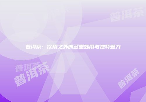 普洱茶：饮用之外的多重妙用与独特魅力