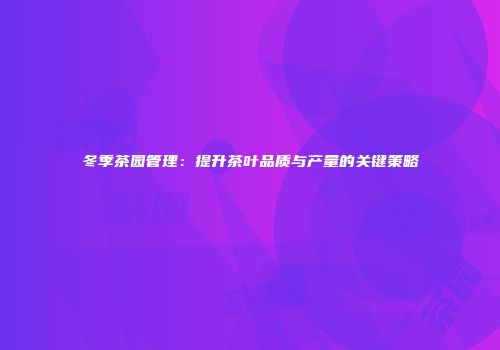 冬季茶园管理：提升茶叶品质与产量的关键策略