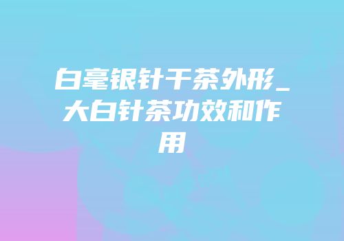 白毫银针干茶外形_大白针茶功效和作用