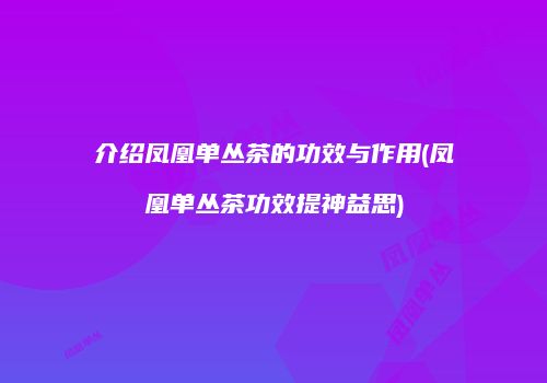 介绍凤凰单丛茶的功效与作用(凤凰单丛茶功效提神益思)