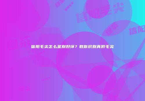 信阳毛尖怎么鉴别好坏？教你识别真假毛尖
