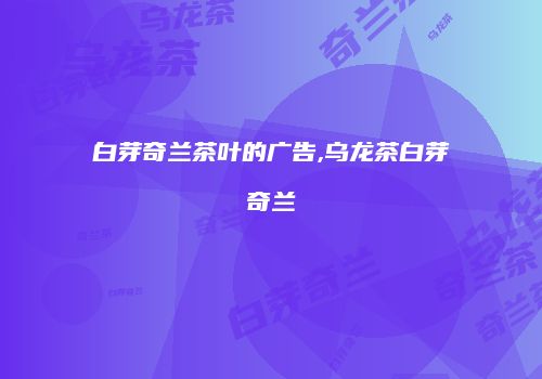 白芽奇兰茶叶的广告,乌龙茶白芽奇兰