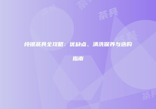 纯银茶具全攻略：优缺点、清洗保养与选购指南