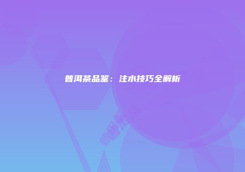 普洱茶品鉴：注水技巧全解析