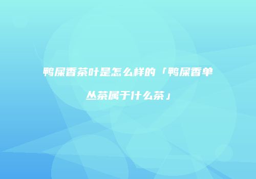 鸭屎香茶叶是怎么样的「鸭屎香单丛茶属于什么茶」